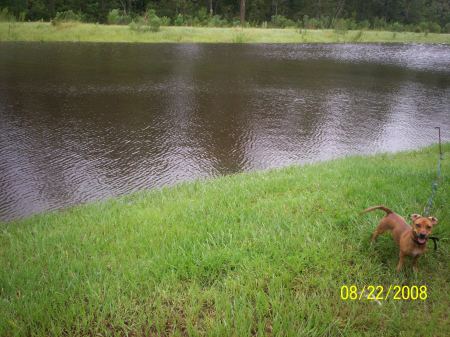 Tropical Storm Fay 2008