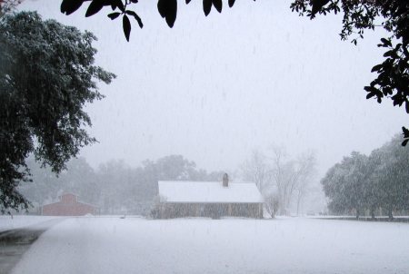 Another "snow in Louisiana" pic