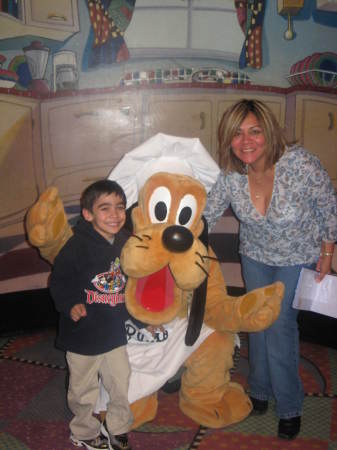 Disneyland, 2007