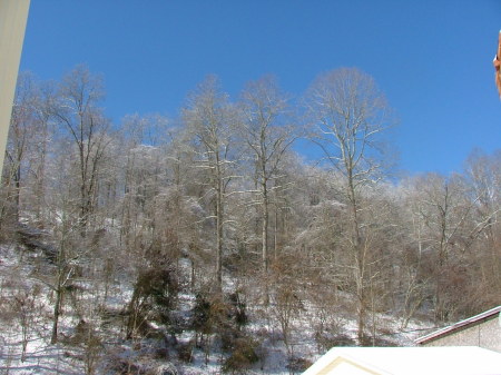 winter in granny holler 2009 002