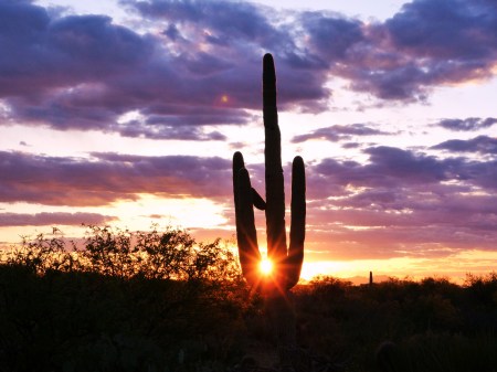 Another photo of  My Arizona... God's Country