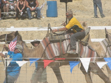 Camel Races in Virginia City, NV