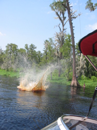 Eagle Nest Landing