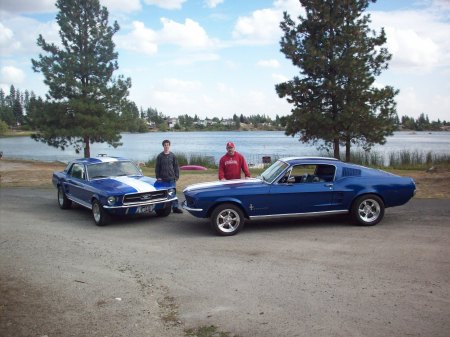 Mustangs at Medical Lake