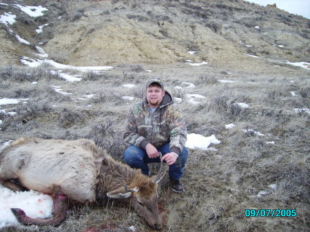 Wyoming elk hunt