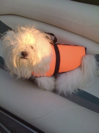 Sweetie Going Boating