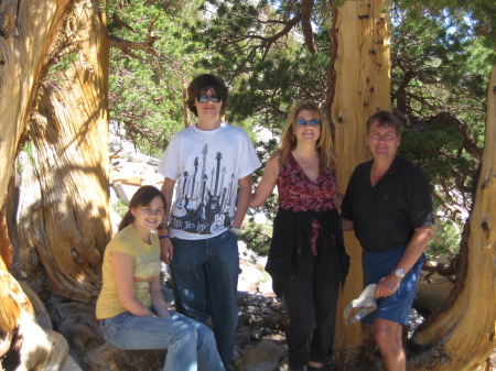 Family Mammoth Photo