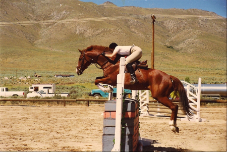 horses...horses...horses