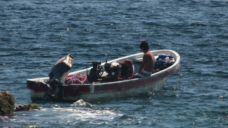 diving for lobster and scallops, Puerto Angel