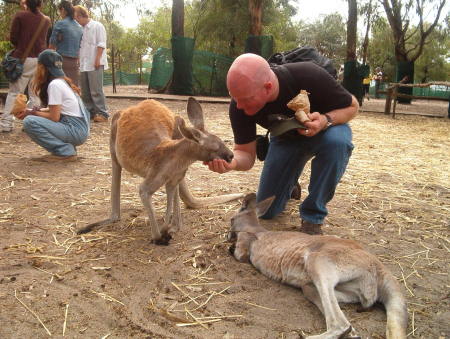 Petting critters in Australia