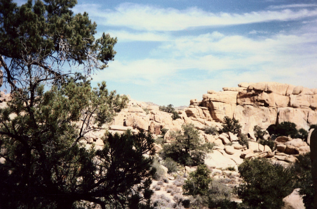 Joshua Tree National Park