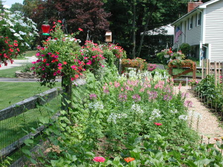 Flower Garden '2008