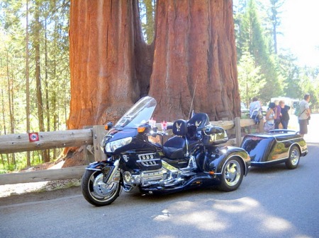 Trike at Sequoia National Park