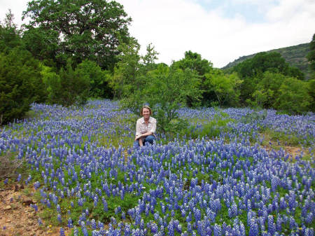 Spring Time in the Hill Country of Texas