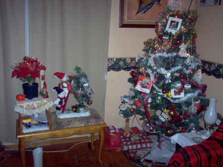 This is just our Christmas tree 2008