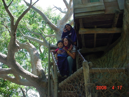 the treehouse