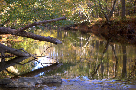Idyllic spot along creek