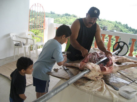 Lechon en Bara