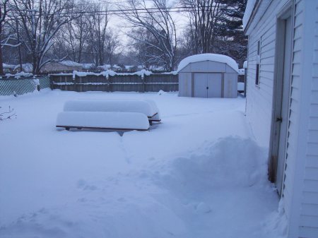 Michigan winter -backyard