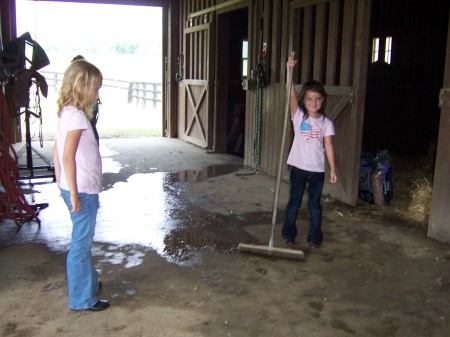 Cleaning the barn