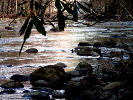 River bank in Gatlinburg, Tennessee