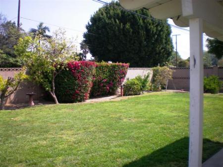 Back Yard of 4 Bedroom home