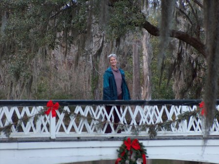 Christmas time in Charleston SC.