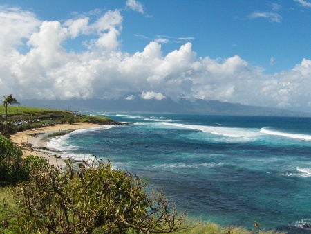 MAUI SURF