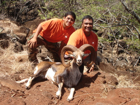 Father & Son Trophy Mouflon Ram 9/2007
