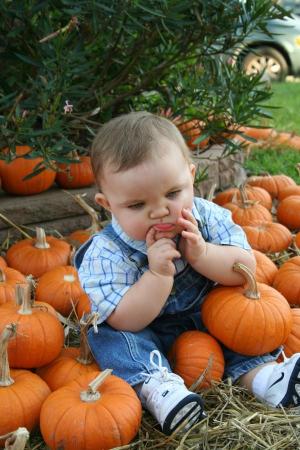 Pumpkin Patch 2008