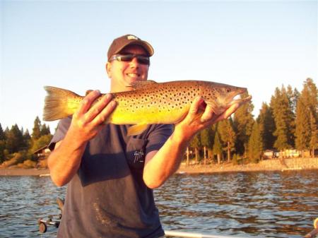 5.5 lb german brown lake almanor 9/10