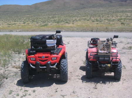 Enjoying the desert with the dogs