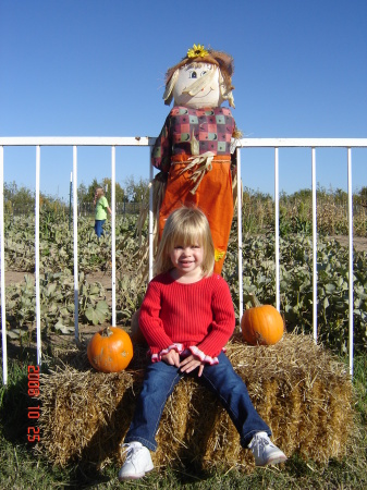 Pumpkin Patch