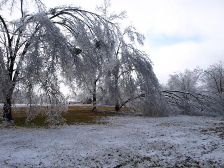 ANOTHER PIC FROM THE ICE STORM 2009