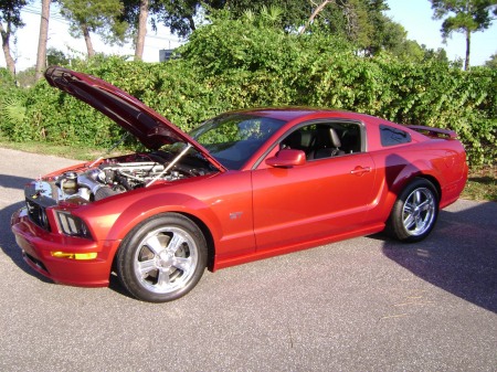 14004-2005-ford-mustang