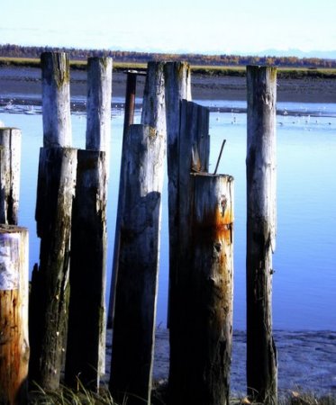 Old Kenai River Dock Pillars