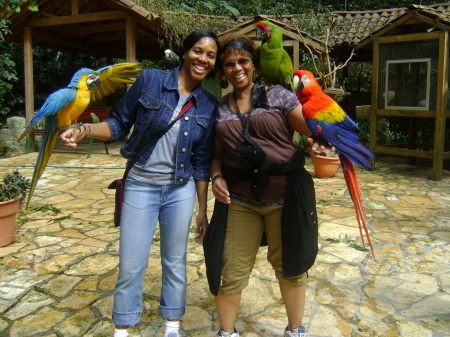 Copan Macaw Mountain