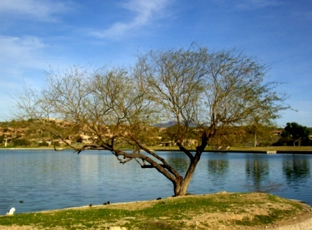 Small island by the Veteran's Memorial