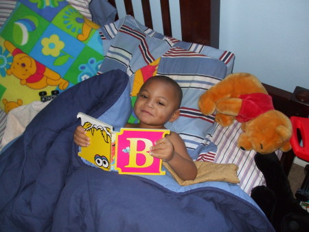 Reading In Bed