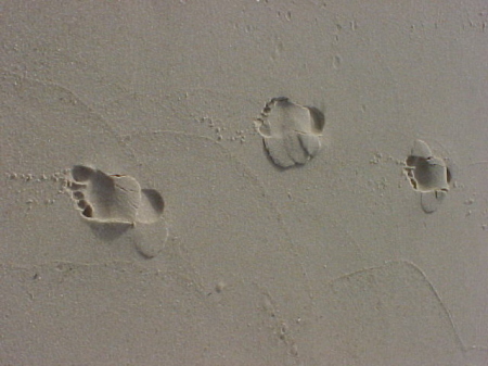 my footprints in the sand
