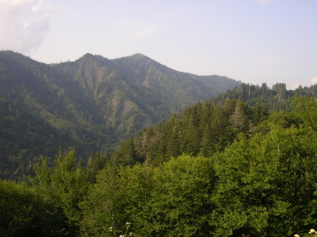 The Smoky Mountains