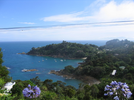 waiheke island, NZ