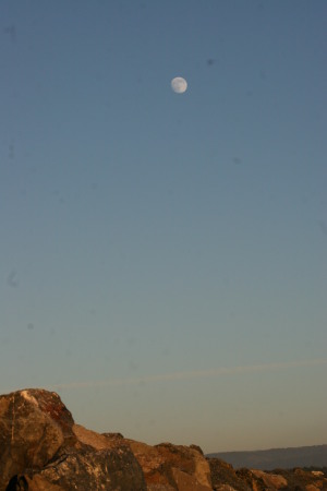 moon over humboldt bay 12/08