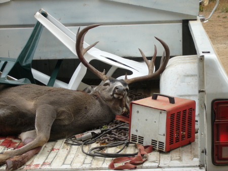 Siskiyou county buck 2005