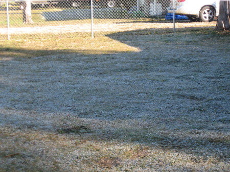 Wow Frost in Florida