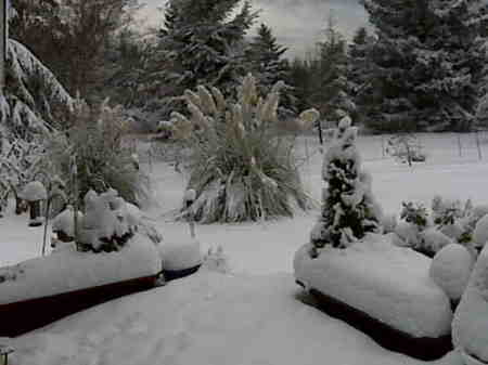 Bethany's Porch