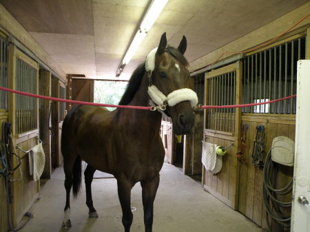 Race Track Rescue