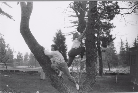 CLIMBING TREE'S  ... WOW WERE WE EVER BORED !