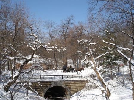 Valentines in NYC