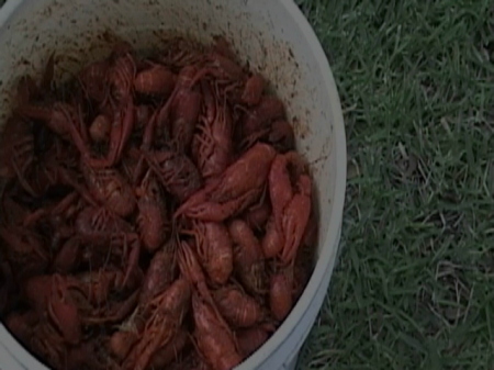 HOT CRAWFISH-2